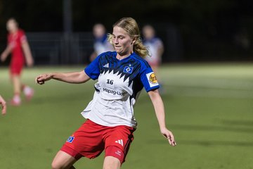 Bild 347 - wBJ Eimsbuettler TV - Hamburger SV : Ergebnis: 1:2